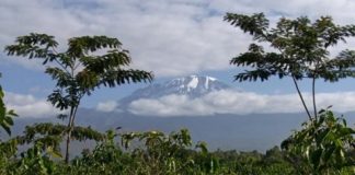 Research: Ecosystems in global change —