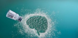 Study: How the appetite for salt is shaped by a taste for sodium — (Details)