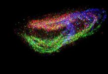 Research: Slide-seq technique generates high-resolution maps of cellular relationships in tissues, without the need for a microscope —