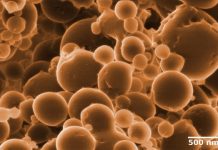 Tech: Single-celled organism that oxidises ethane on the seabed — (Report)