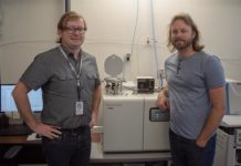 Research: In ancient oceans that resembled our own, oxygen loss triggered mass extinction —