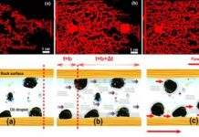 Research: A new class of branched single chain surfactant for enhanced oil recovery reported —