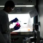 Study: Biomedical engineers grow cardiac patches to help people recover from heart attacks — (Details)