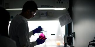 Study: Biomedical engineers grow cardiac patches to help people recover from heart attacks — (Details)