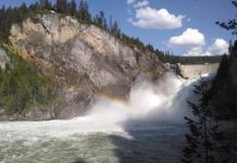 Research: Studying reintroduction of bull trout with simulations —