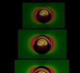 Study: Scientists have combined the simplicity of paper with the complexity of quantum physics for point-of-care testing — (Details)