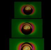 Study: Scientists have combined the simplicity of paper with the complexity of quantum physics for point-of-care testing — (Details)
