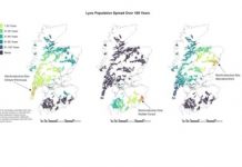Research: Proposed reintroduction of the Eurasian lynx to Scotland —