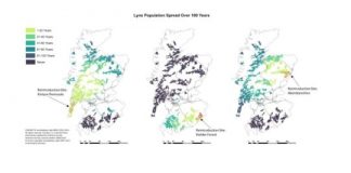 Research: Proposed reintroduction of the Eurasian lynx to Scotland —