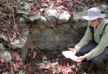Research: Researchers find ancient Maya farms in Mexican wetlands —