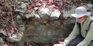 Research: Researchers find ancient Maya farms in Mexican wetlands —