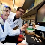 Study: New evidence about why clear margins in breast cancer surgery are such good news — (Details)