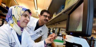 Study: New evidence about why clear margins in breast cancer surgery are such good news — (Details)