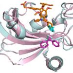 Study: Depression, obesity, chronic pain could be treated by targeting the same key protein — (Details)