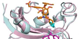 Study: Depression, obesity, chronic pain could be treated by targeting the same key protein — (Details)