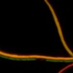 Study: Anti-evolvability drugs could slow antibiotic resistance in bacteria — (Details)