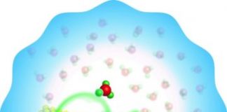 Tech: Novel role of water in production of renewable fuels — (Report)