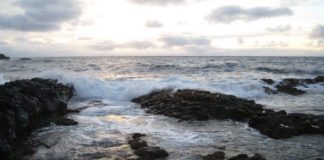 Research: Finding weighs against popular ‘RNA World’ hypothesis —