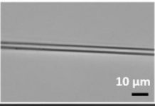 Tech: Bacterial factories could manufacture high-performance proteins for space missions — (Report)