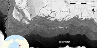 Research: Sea ice is now melting before it can leave the nursery —