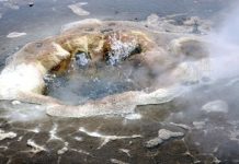 Tech: Prebiotic chemistry: Stable majorities — (Report)