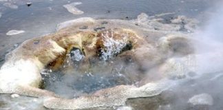 Tech: Prebiotic chemistry: Stable majorities — (Report)