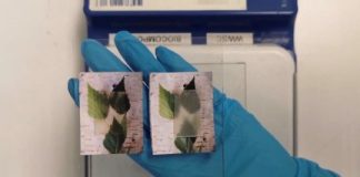 Tech: Transparent wood can store and release heat — (Report)