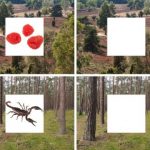 Study: The brain’s auto-complete function — (Details)