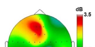 Study: Finding could improve development of personalized psychiatric treatments — (Details)