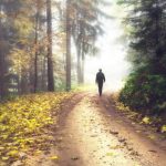 Study: Just 20 minutes of contact with nature will lower stress hormone levels, reveals new study — (Details)