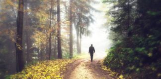 Study: Just 20 minutes of contact with nature will lower stress hormone levels, reveals new study — (Details)