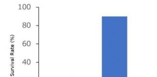 Study: Polysulfide donors strongly suppress inflammatory responses — (Details)