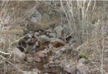 Research: Post-wildfire step-pool streams —