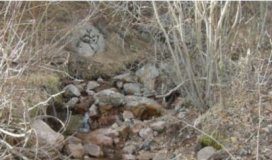 Research: Post-wildfire step-pool streams —