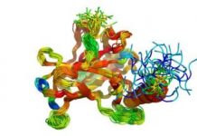 Research: How good are protein disorder prediction programs actually? —