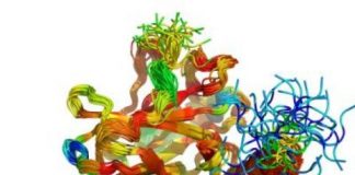 Research: How good are protein disorder prediction programs actually? —