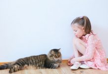 Research: Cats recognize their own names, according to new Japanese research —