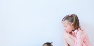 Research: Cats recognize their own names, according to new Japanese research —