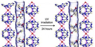 Tech: New biologically derived metal-organic framework mimics DNA — (Report)