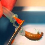 Study: Findings could lead to suture alternatives that are flexible and strong — (Details)