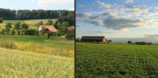 Research: New pathways for sustainable agriculture —