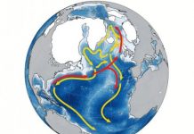 Research: Slowdown of Atlantic circulation sent planet into deep freeze —