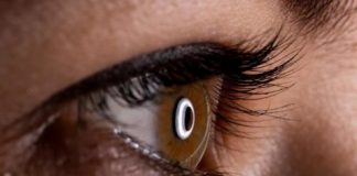 Study: The presence of a spouse provides immediate stress protection — (Details)