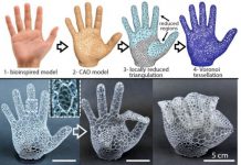 Research: New design method to create soft robots —