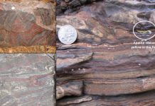 Research: Tracking records of the oldest life forms on Earth —