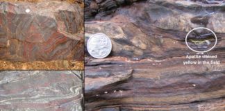 Research: Tracking records of the oldest life forms on Earth —