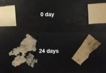 Research: New biodegradable ‘plastic’ is tough, flexible —