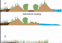 Research: New insight into how climate change is transforming Virginia’s barrier islands —