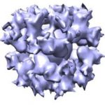 Study: Progress toward Epstein-Barr virus vaccine — (Details)