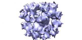 Study: Progress toward Epstein-Barr virus vaccine — (Details)